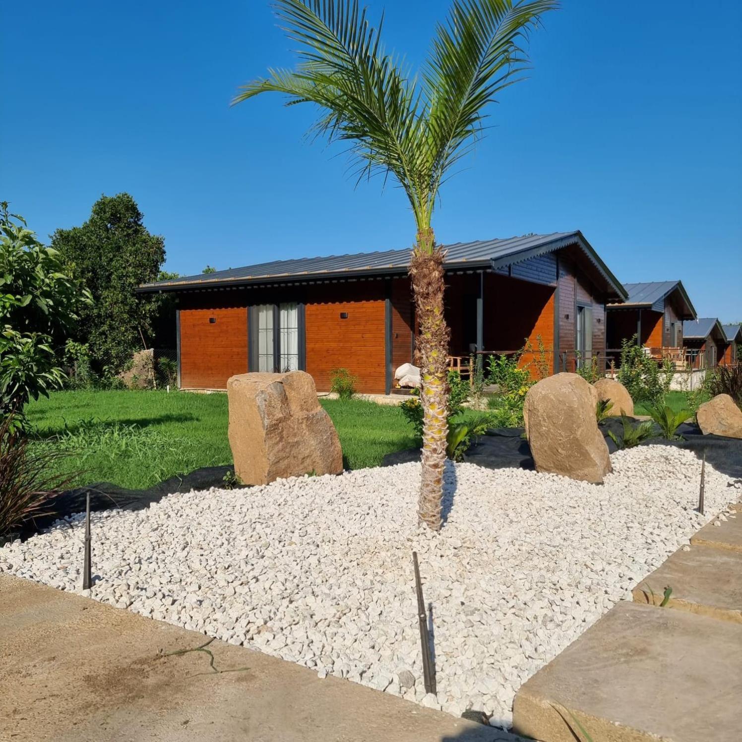 Cirali Simge Holiday Houses Exterior photo
