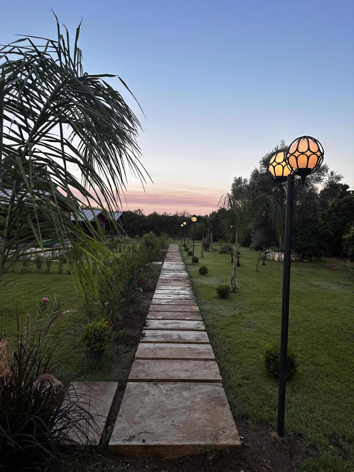 Cirali Simge Holiday Houses Exterior photo