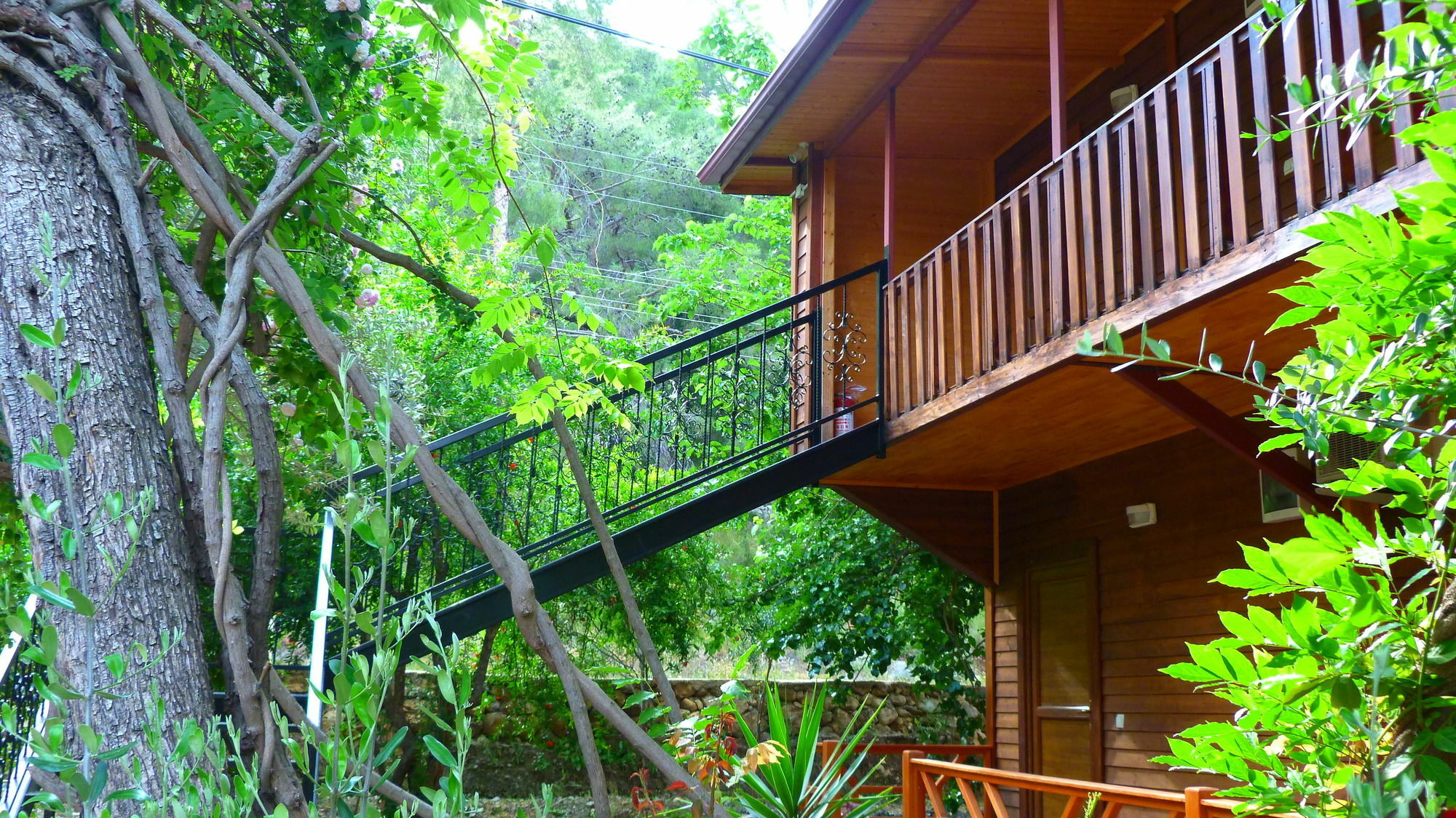 Cirali Simge Holiday Houses Exterior photo