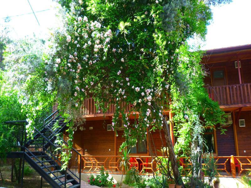 Cirali Simge Holiday Houses Exterior photo